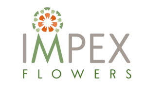 IMPEX FLOWERS