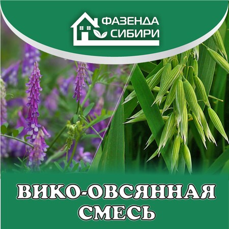 Вико-овсянная смесь